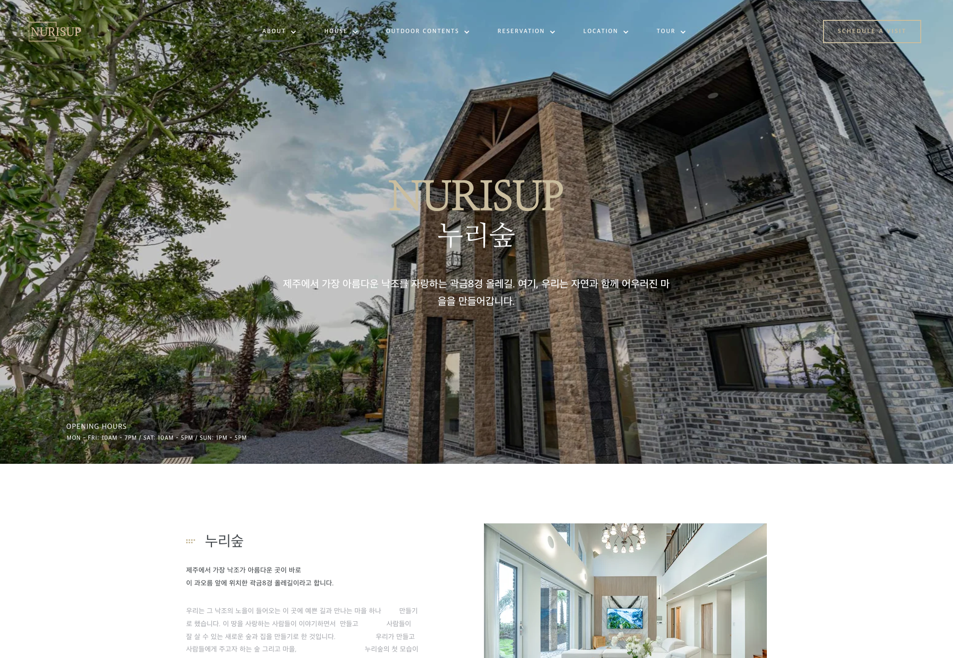 LuminaSoft Corporate